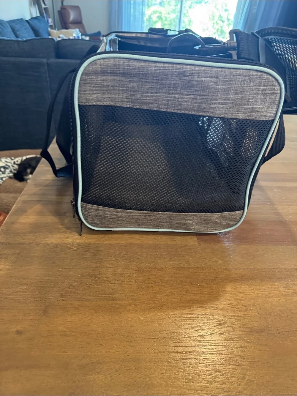 Gray and Black Soft-Sided Pet Carrier - Portable Dog Travel Bag